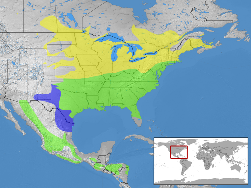 Sialia sialis distribution.png